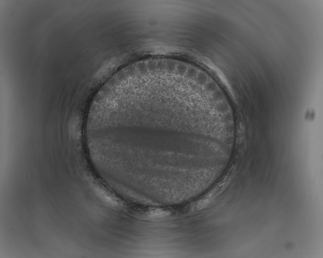 X0000094440257200712061145