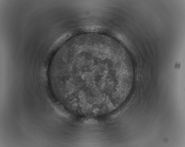 X0000094440258200712061145