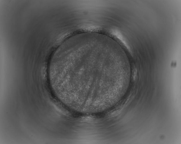 X0000094440259200712061145