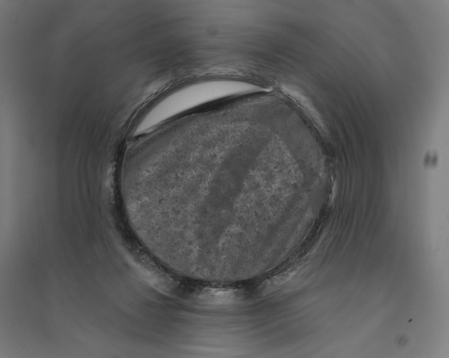 X0000094440260200712061145