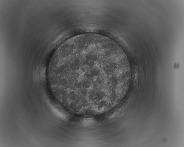 X0000094440262200712061145