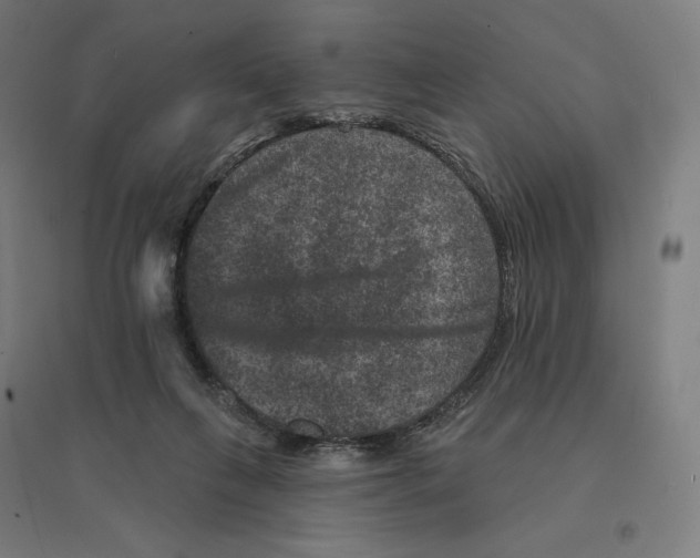 X0000094440263200712061145