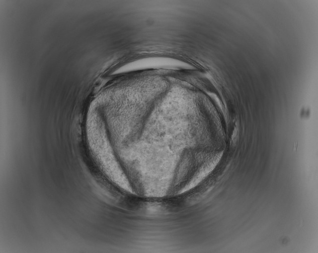 X0000094440264200712061145