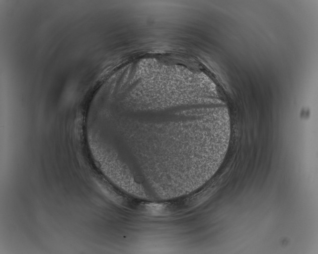 X0000094440265200712061145