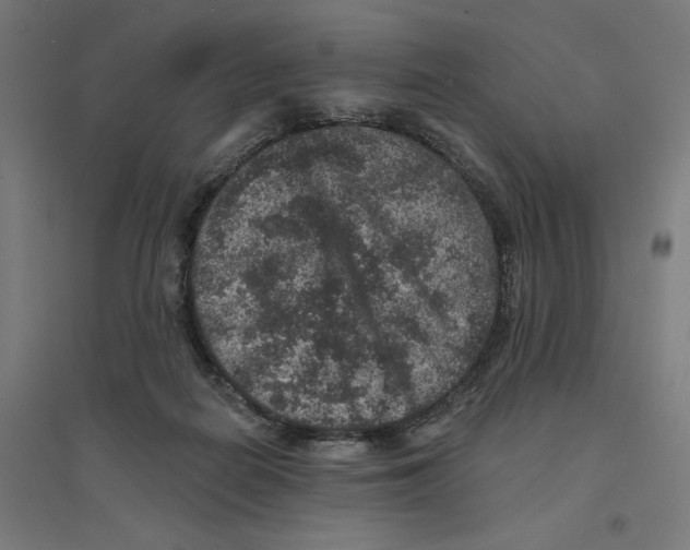 X0000094440266200712061145