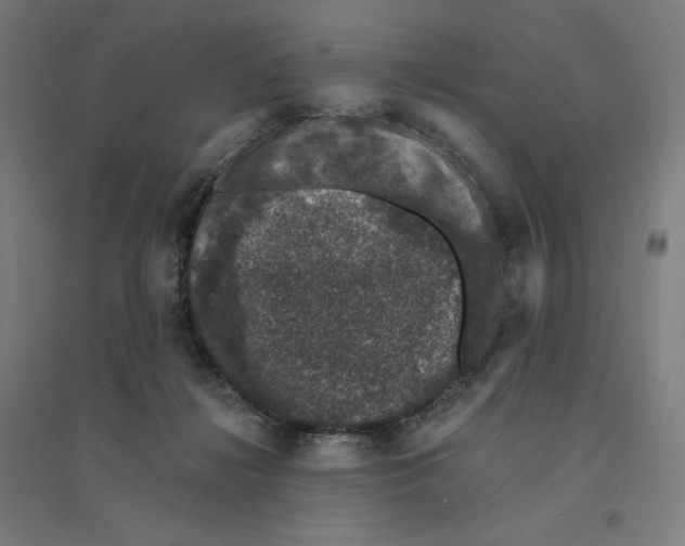 X0000094440268200712061145