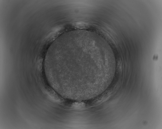 X0000094440271200712061145