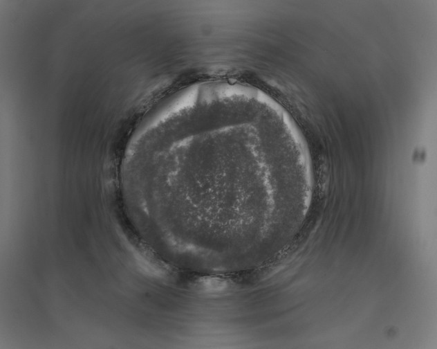 X0000094440272200712061145