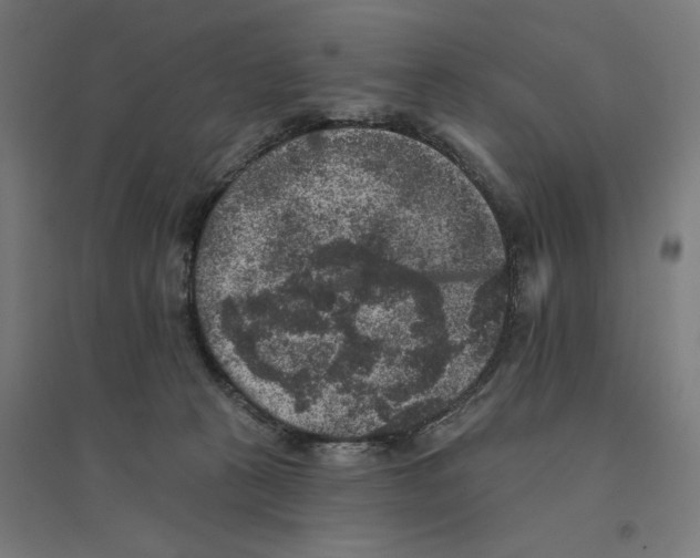 X0000094440273200712061145