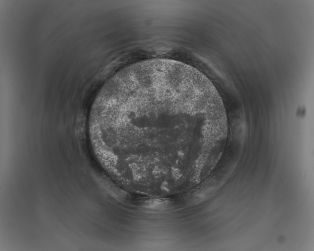 X0000094440274200712061145