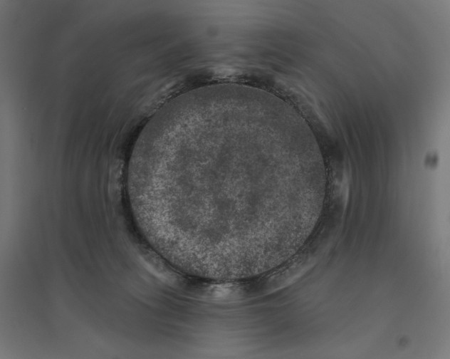 X0000094440275200712061145