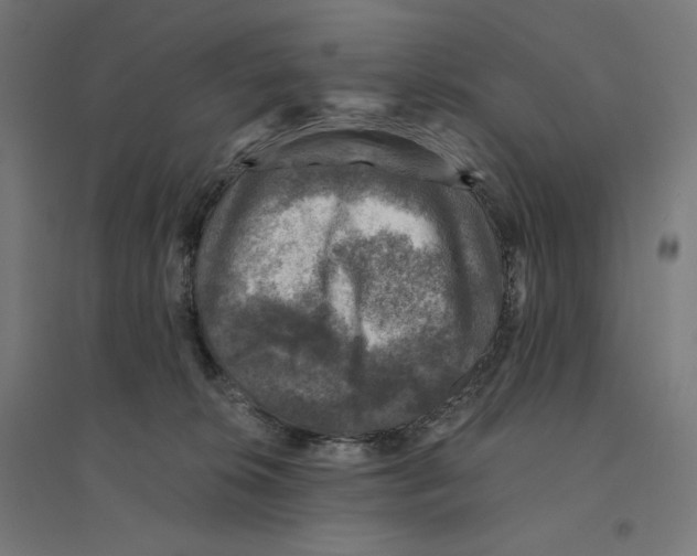 X0000094440276200712061145