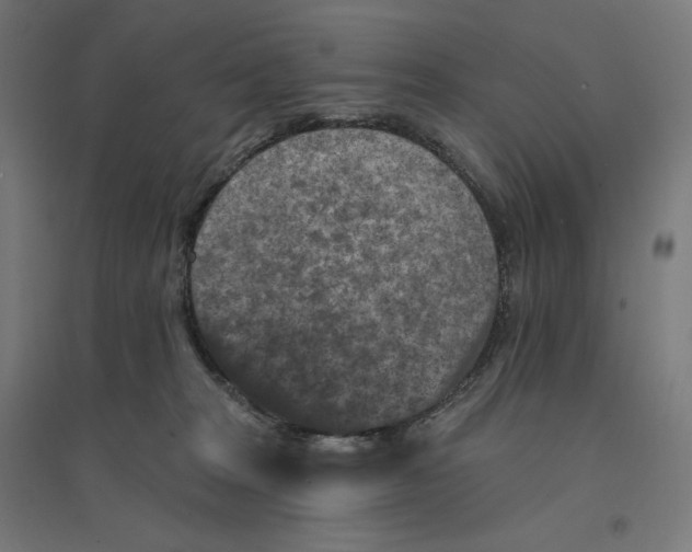 X0000094440277200712061145