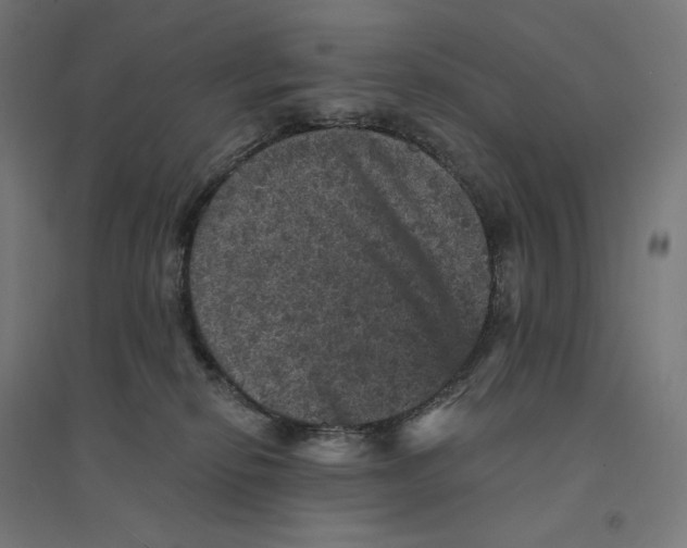 X0000094440278200712061145