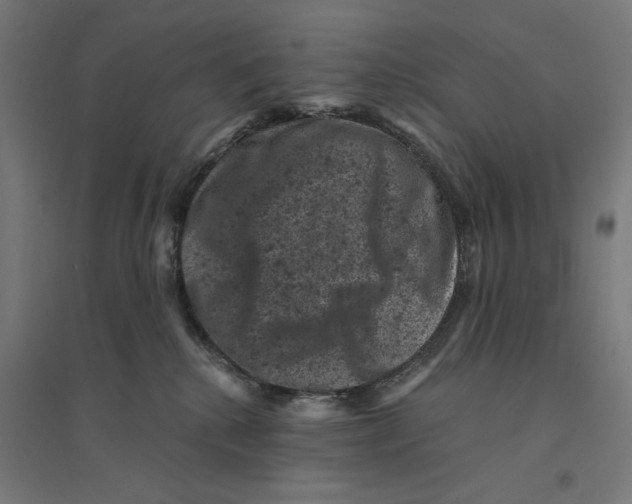 X0000094440280200712061145