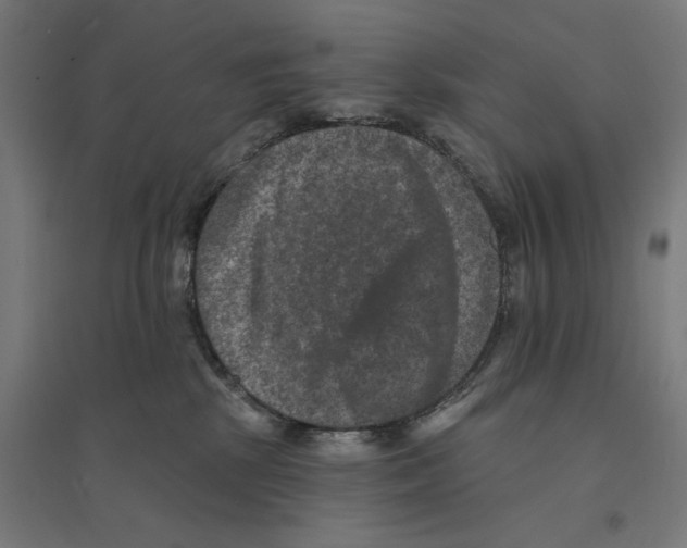 X0000094440281200712061145