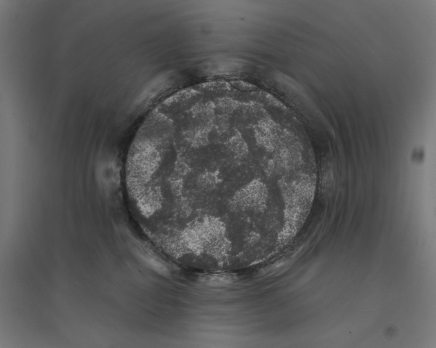 X0000094440282200712061145