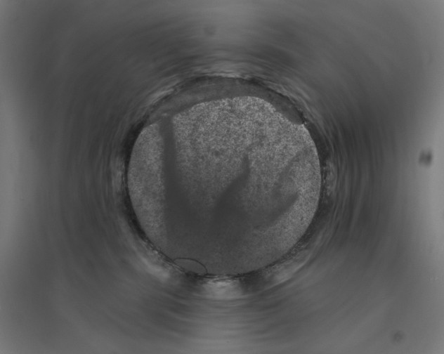 X0000094440283200712061145