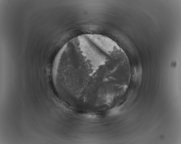 X0000094440284200712061145