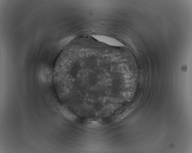 X0000094440285200712061145