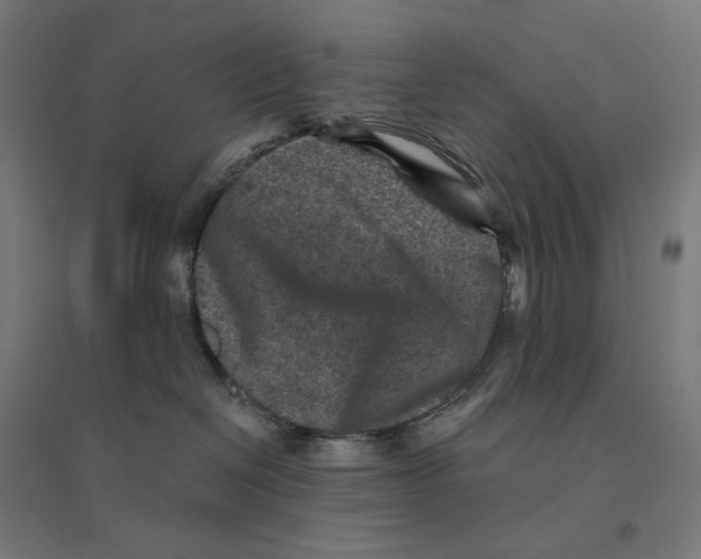 X0000094440286200712061145