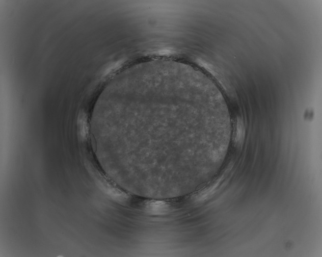 X0000094440287200712061145