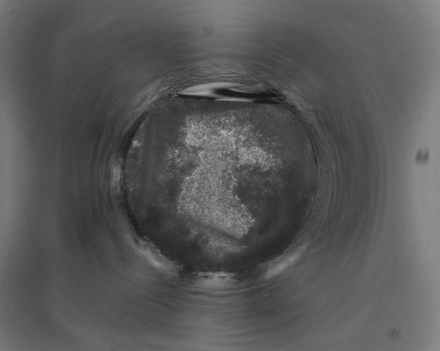 X0000094440288200712061145