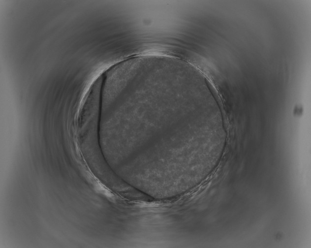 X0000094440289200712061144