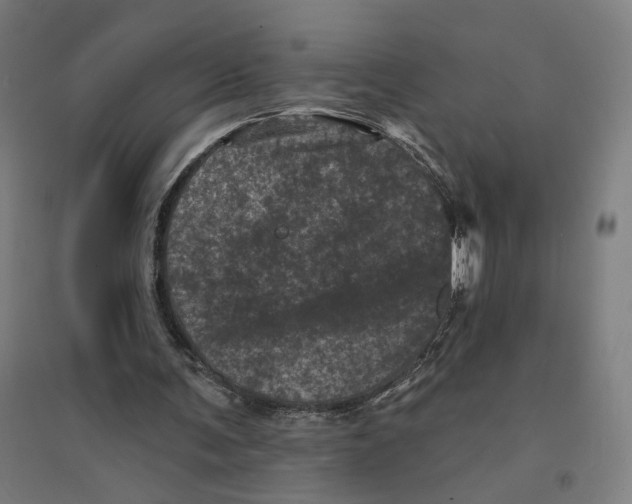 X0000094440291200712061144