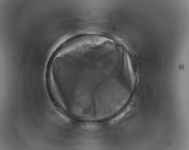 X0000094440292200712061144