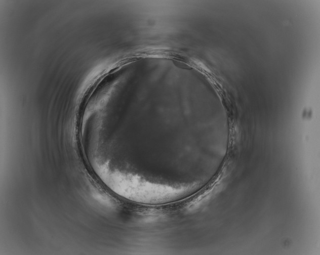 X0000094440293200712061144