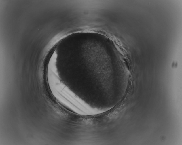 X0000094440295200712061144