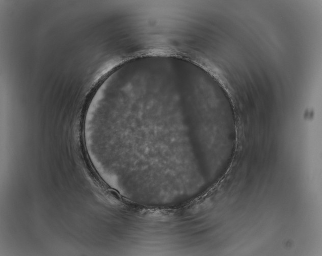 X0000094440297200712061144