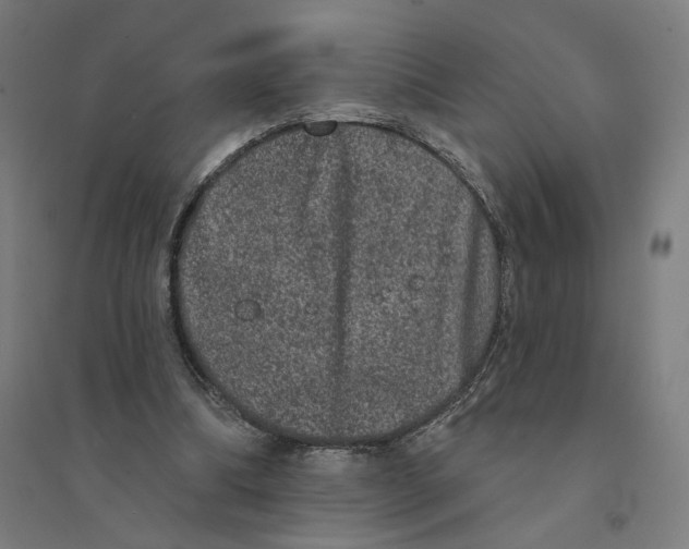 X0000094440298200712061144