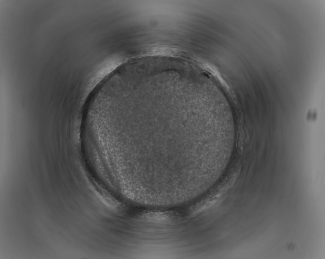 X0000094440299200712061144