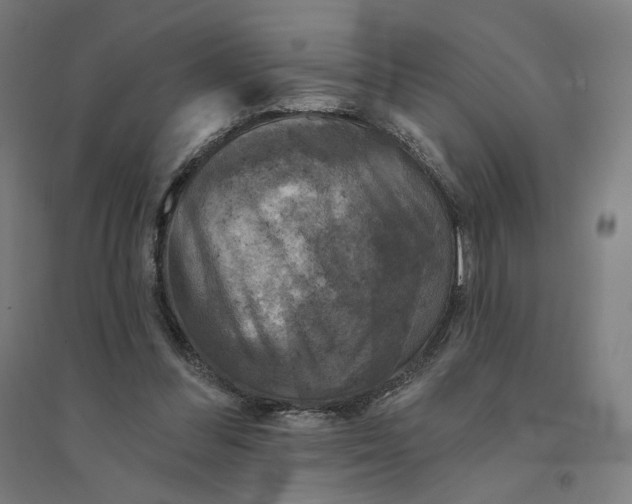 X0000094440300200712061144