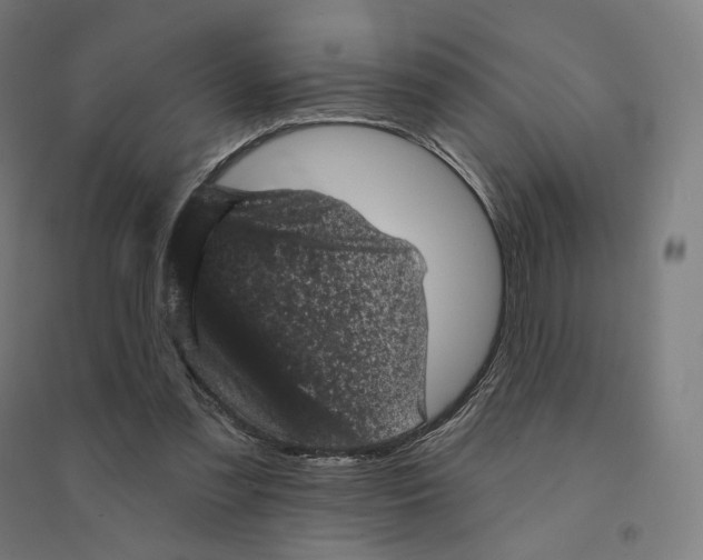 X0000094440301200712061144