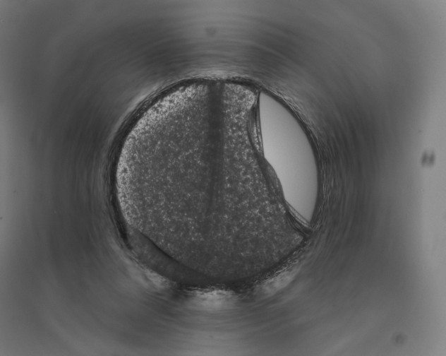 X0000094440304200712061144