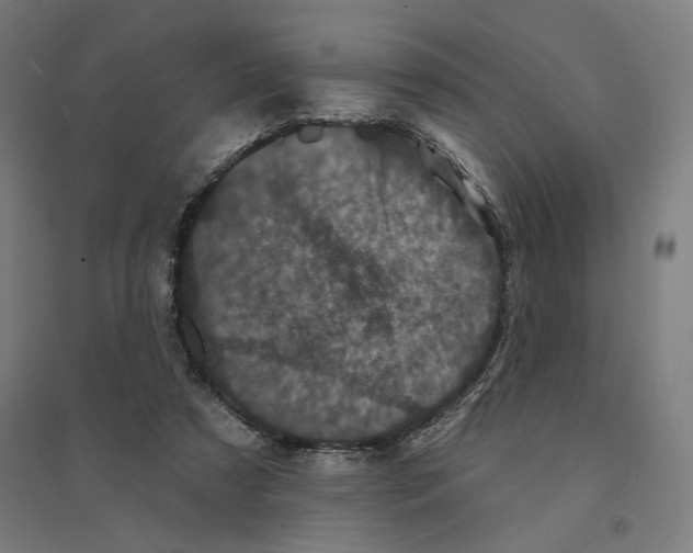 X0000094440305200712061144