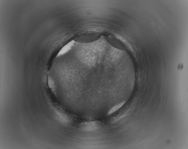 X0000094440307200712061144