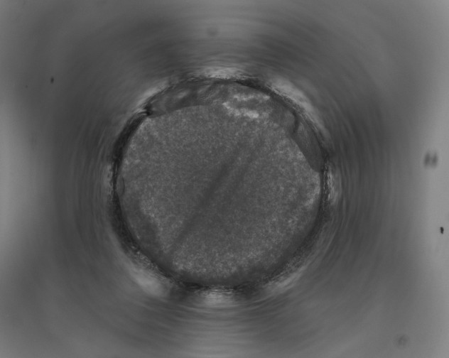 X0000094440308200712061144