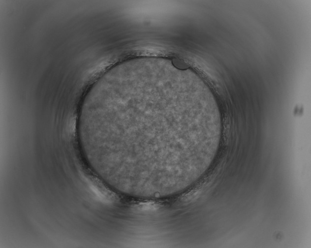 X0000094440310200712061144