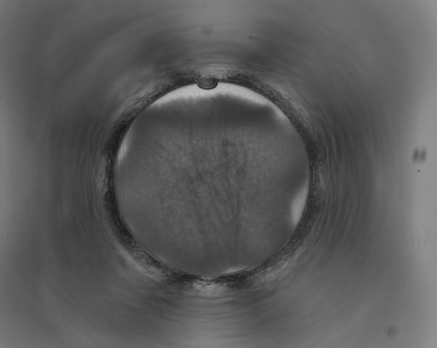 X0000094440311200712061144