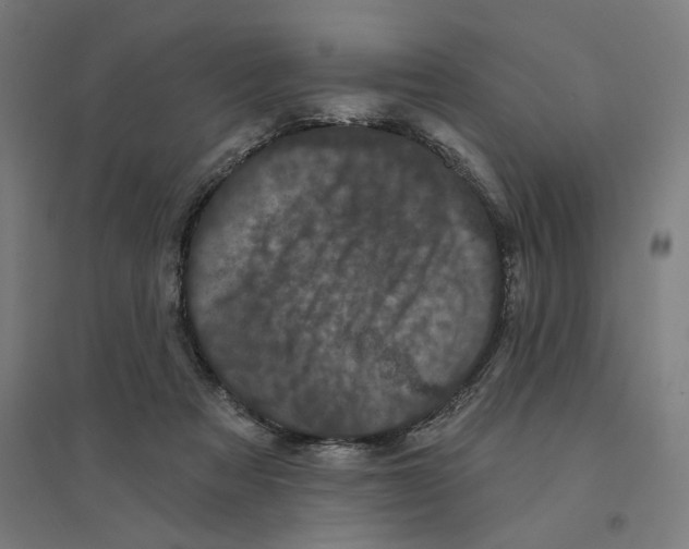 X0000094440313200712061144