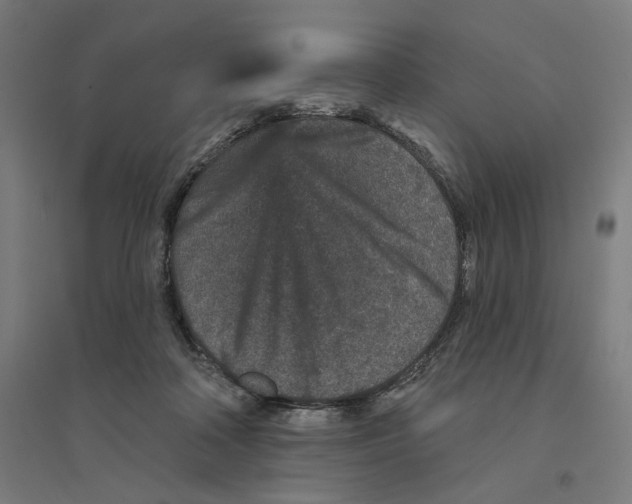 X0000094440314200712061144