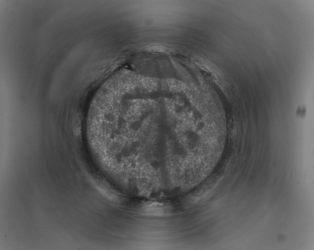 X0000094440315200712061144