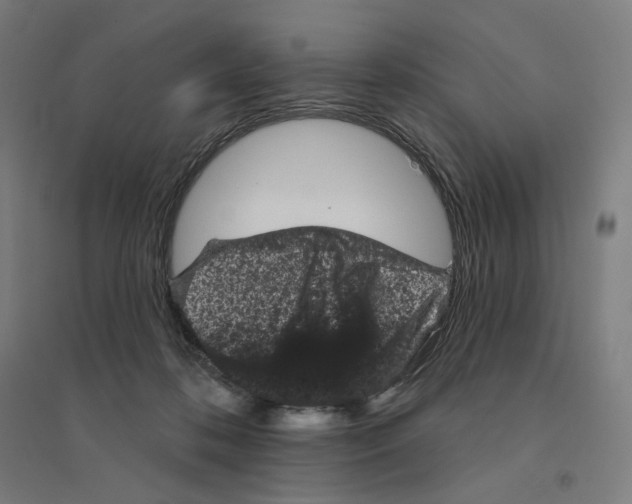 X0000094440316200712061144