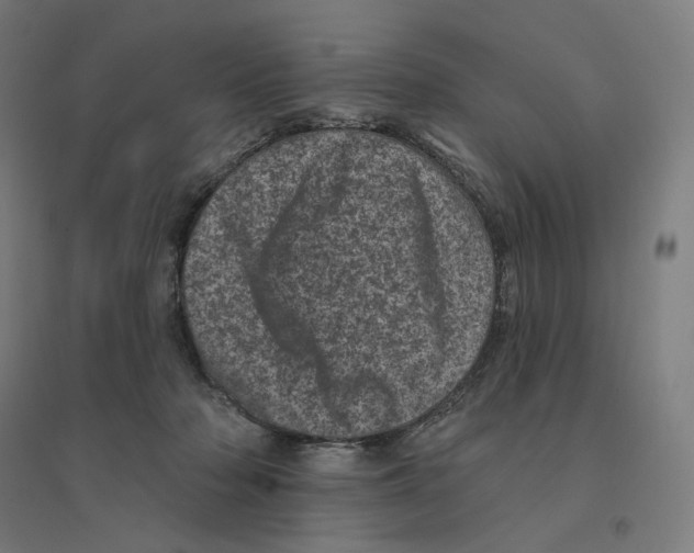 X0000094440318200712061144