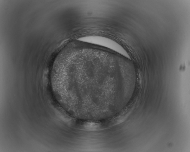 X0000094440319200712061144