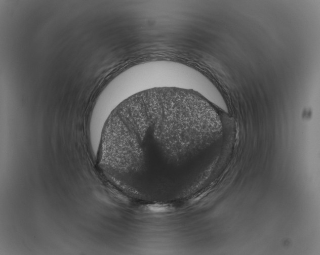 X0000094440320200712061144